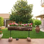 Cozy Flats In An Olive Grove By The Sandy * Kánalos