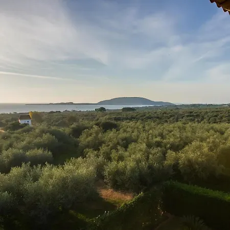 Apartman Cozy Flats In An Olive Grove By The Sandy *