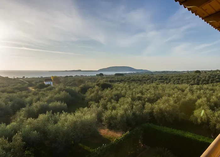 Apartman Cozy Flats In An Olive Grove By The Sandy *